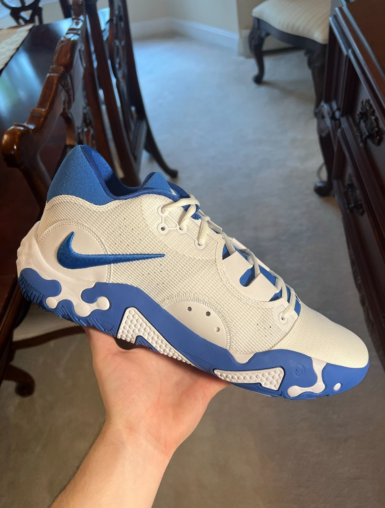 PG 6 Kentucky PE