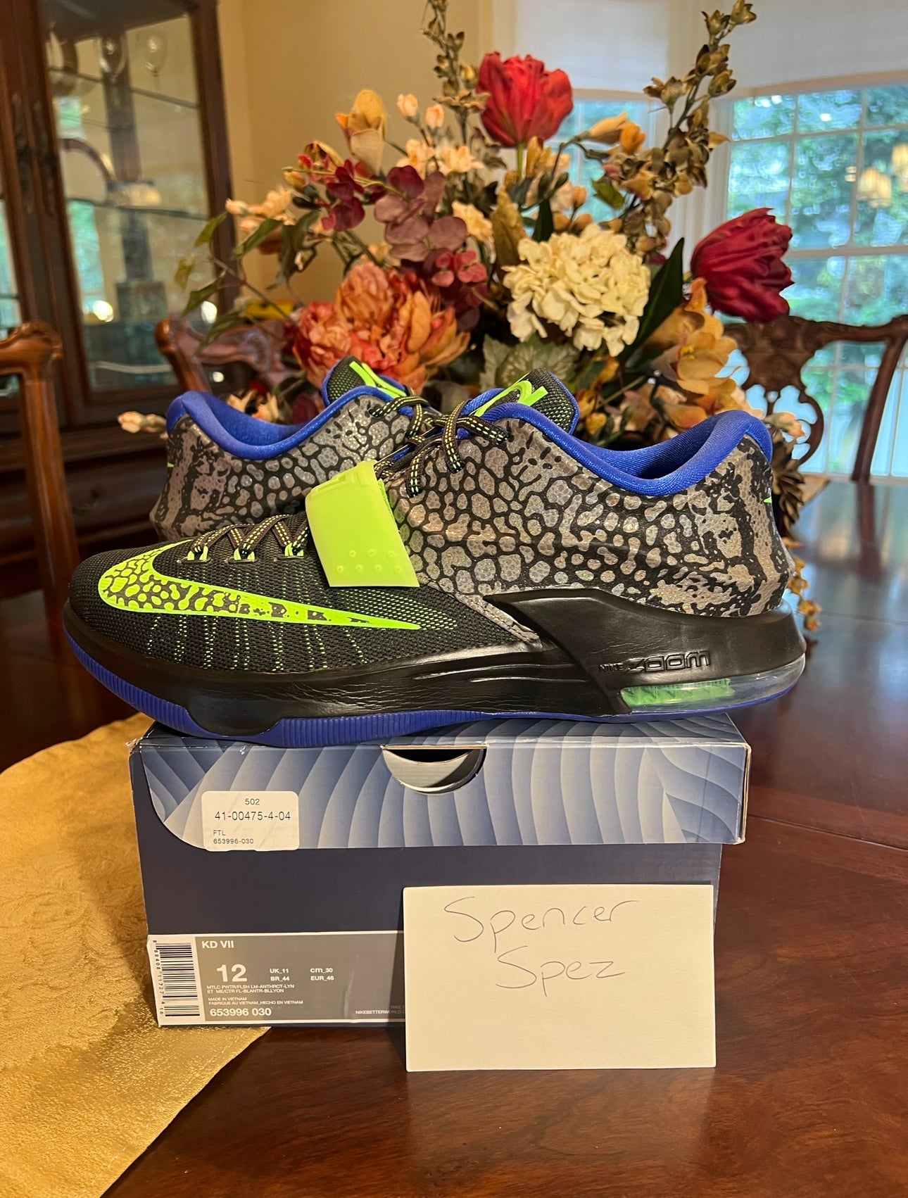 KD 7 Electric Eel