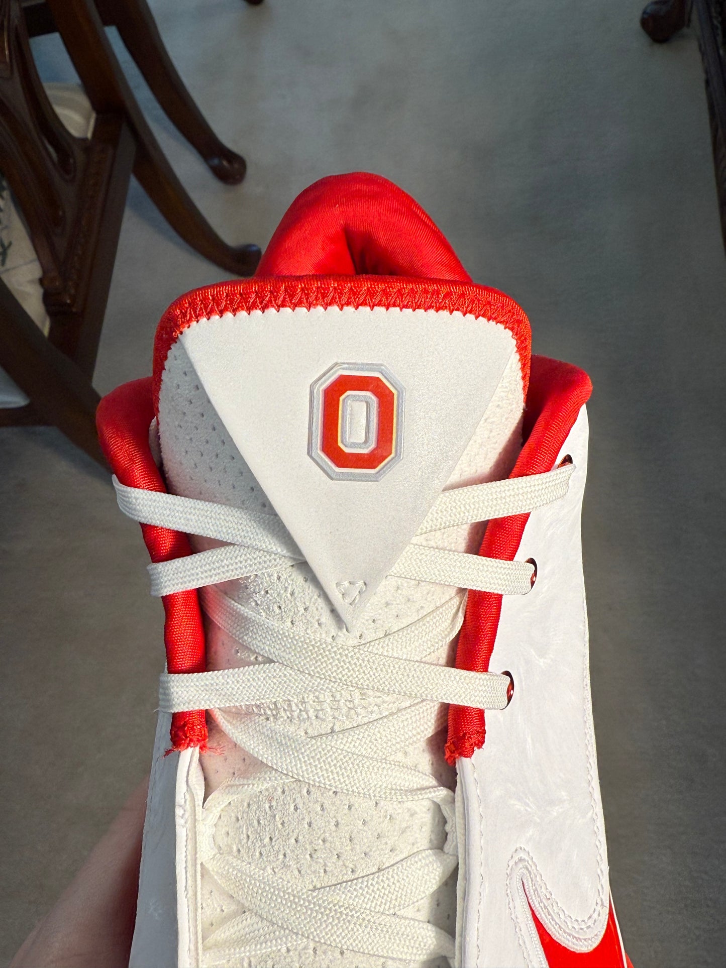 LeBron 22 Ohio State PE