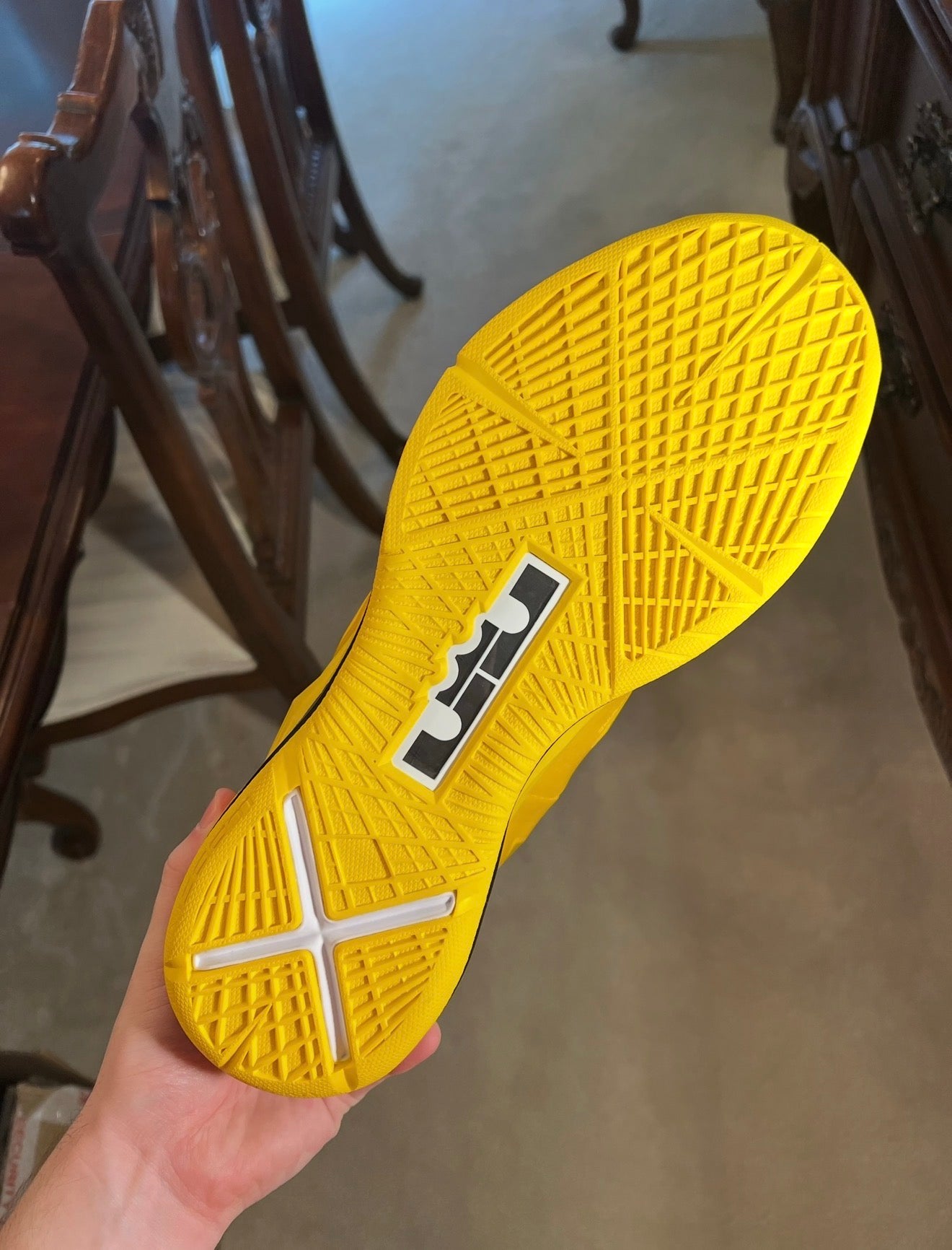 LeBron 10 Honeywell PE