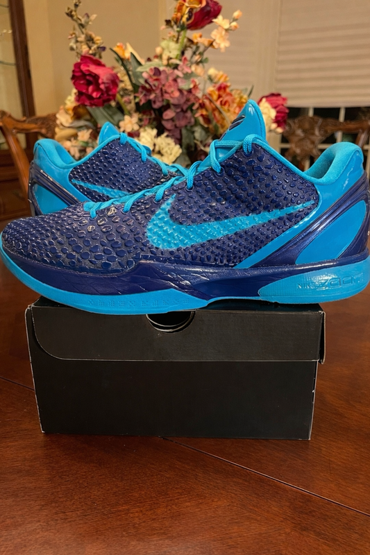 Kobe 6 Protro Malik Monk PE