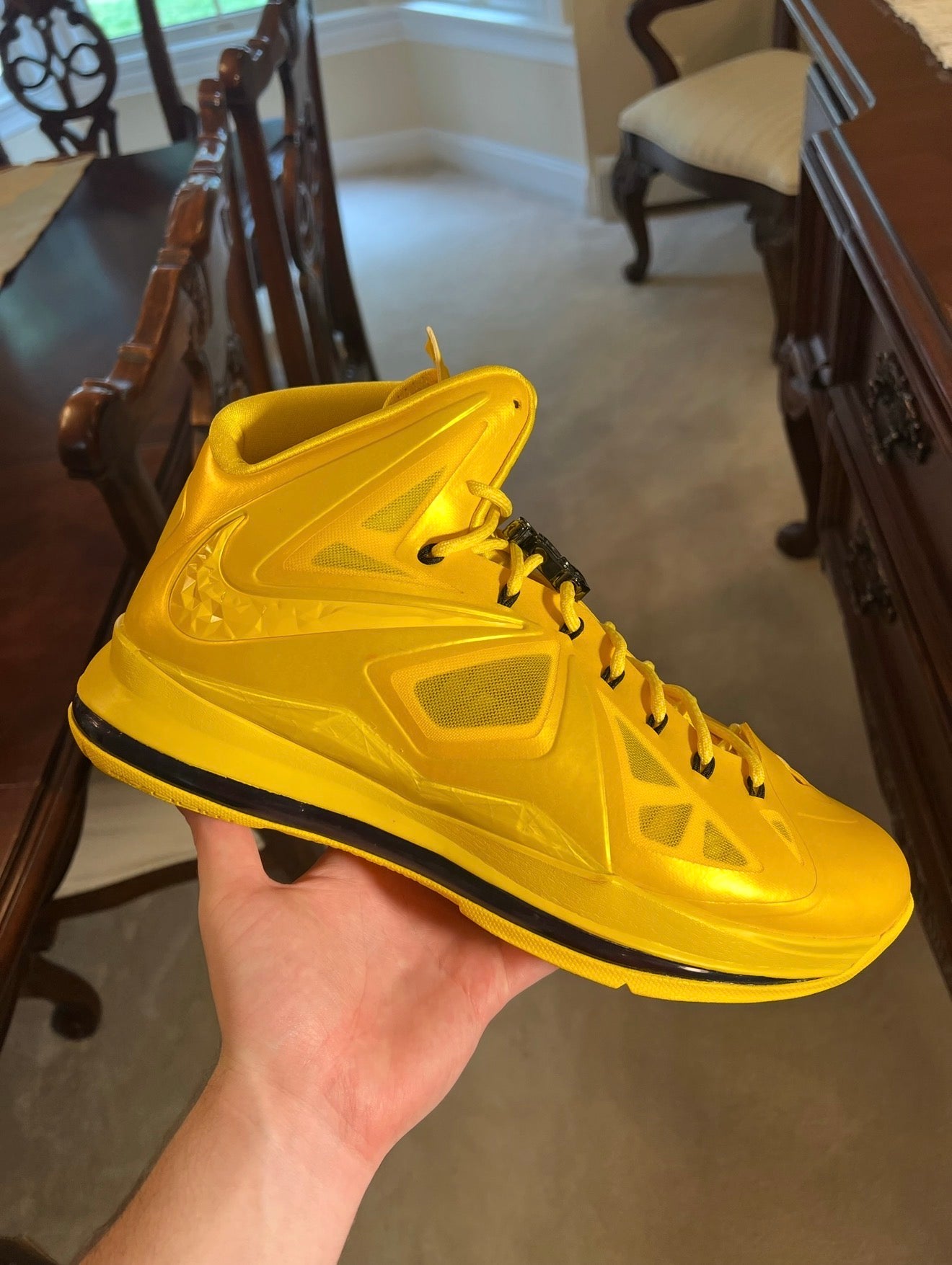 LeBron 10 Honeywell PE