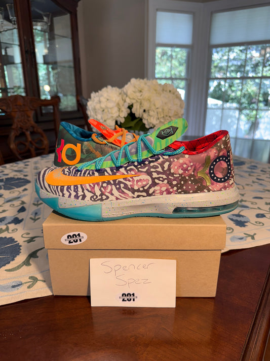KD 6 What The